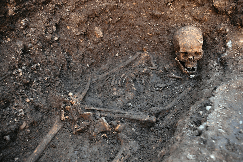 Remains of King Richard III as discovered in situ at the site of Grey Friars Priory, Leicester