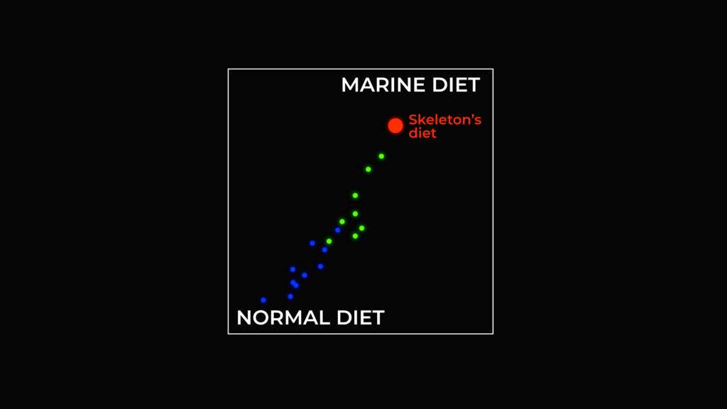 Graph showing results from the carbon dating testing on Richard III's skeleton showing that he had a high marine protein rich diet